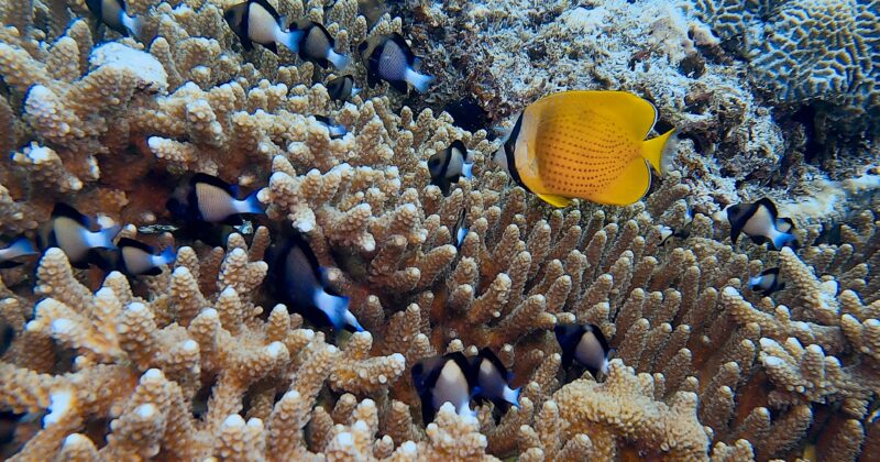 PV du CA du 23 février