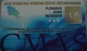 Brevet piscine 3* 2026